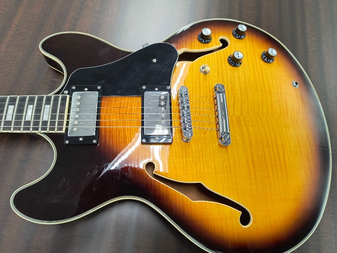 m*6様 サイアーラリーカールトンサンバースト セミホロウボディ