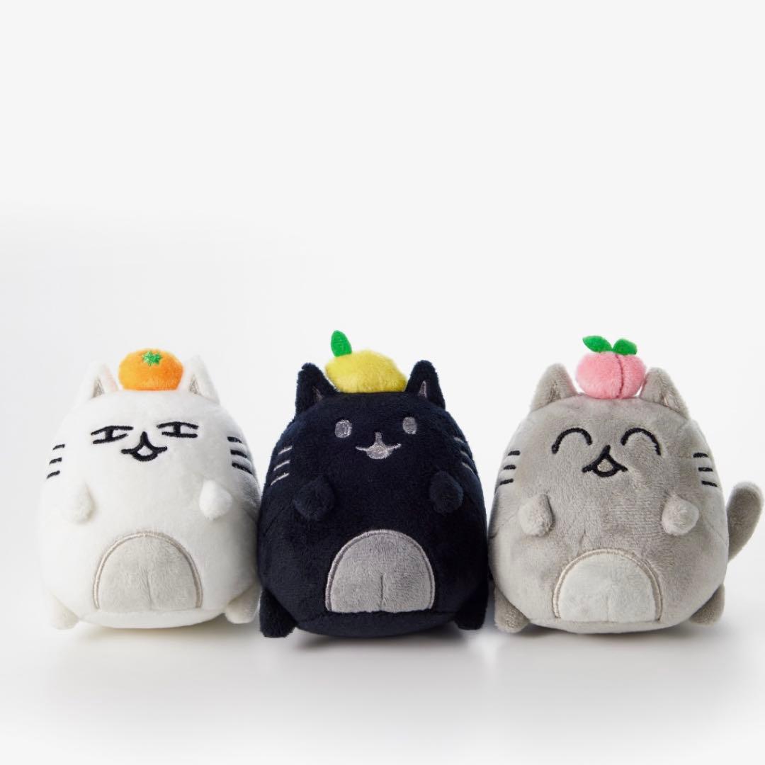 SEVENTEEN セブチ ジュン アーティストメイド ぬいぐるみ ネコ