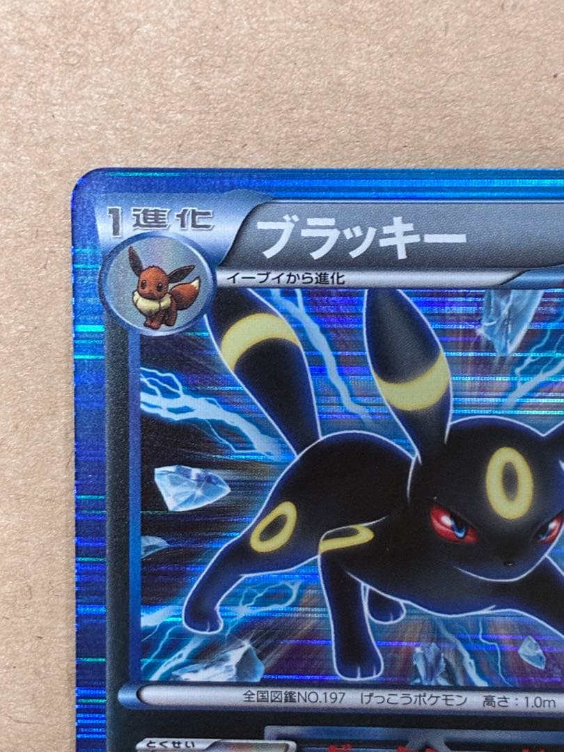 ブラッキー R BW8 ライデンナックル 031/051