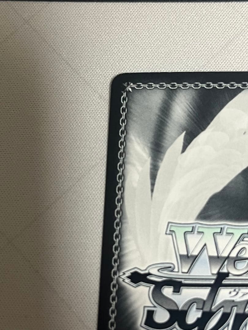 ws ヴァイスシュヴァルツ　ブロカント　ココア　ssp サイン