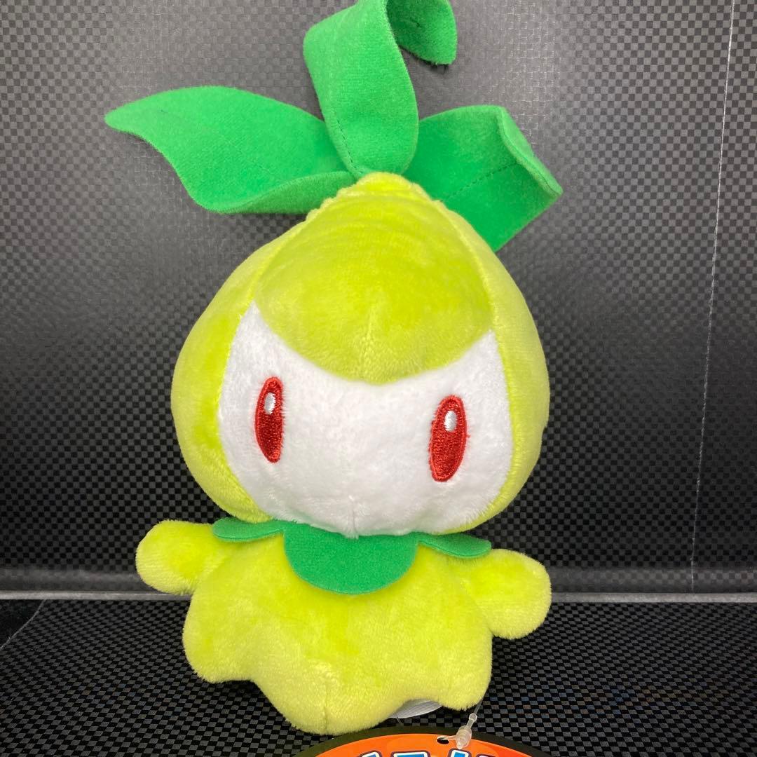 ポケモンセンター チュリネ ぬいぐるみ ポケドール 2010年製 2025年