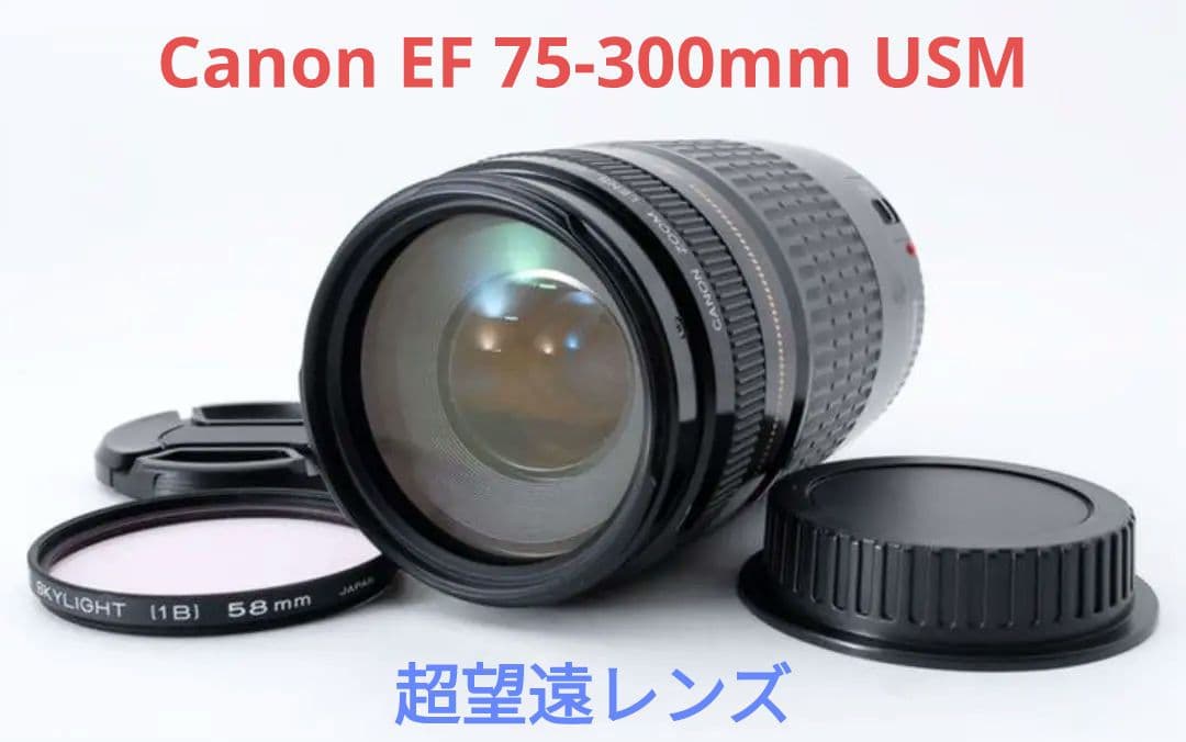 8月26日限定【超望遠レンズ】Canon EF 100-300mm USM 8月26