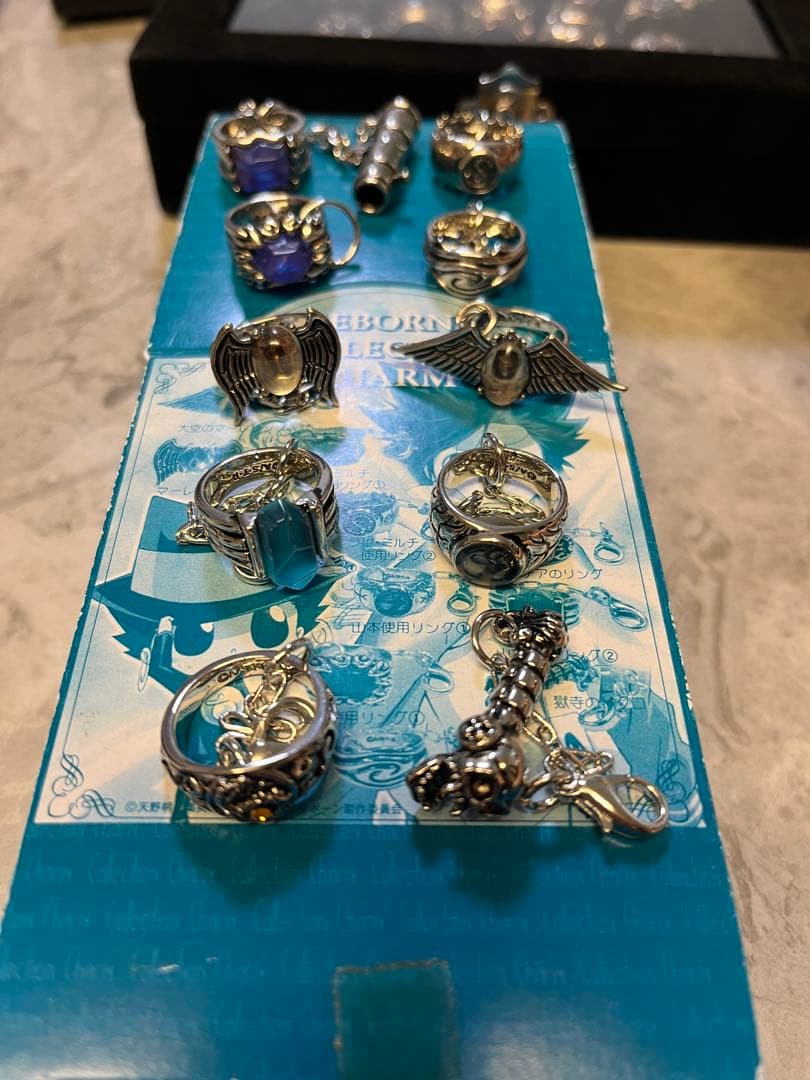 RAKUDO リボーン チャームコレクション