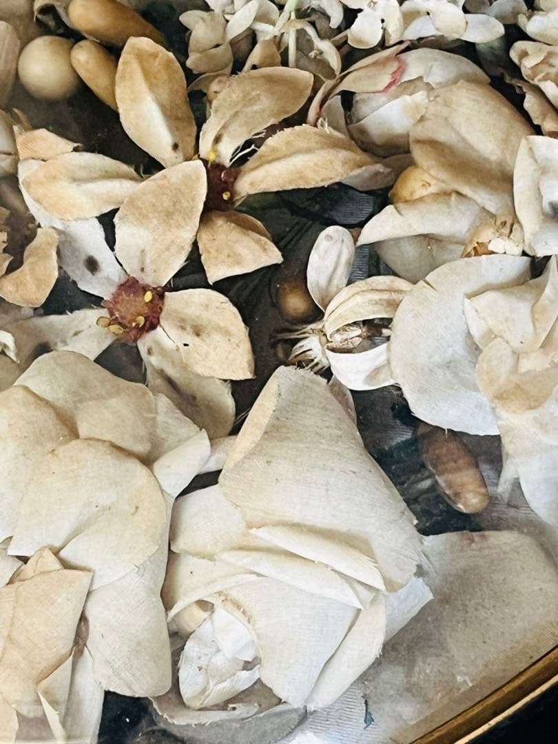 アンティークフランスナポレオンIII グローブドマリエ湾曲ガラス