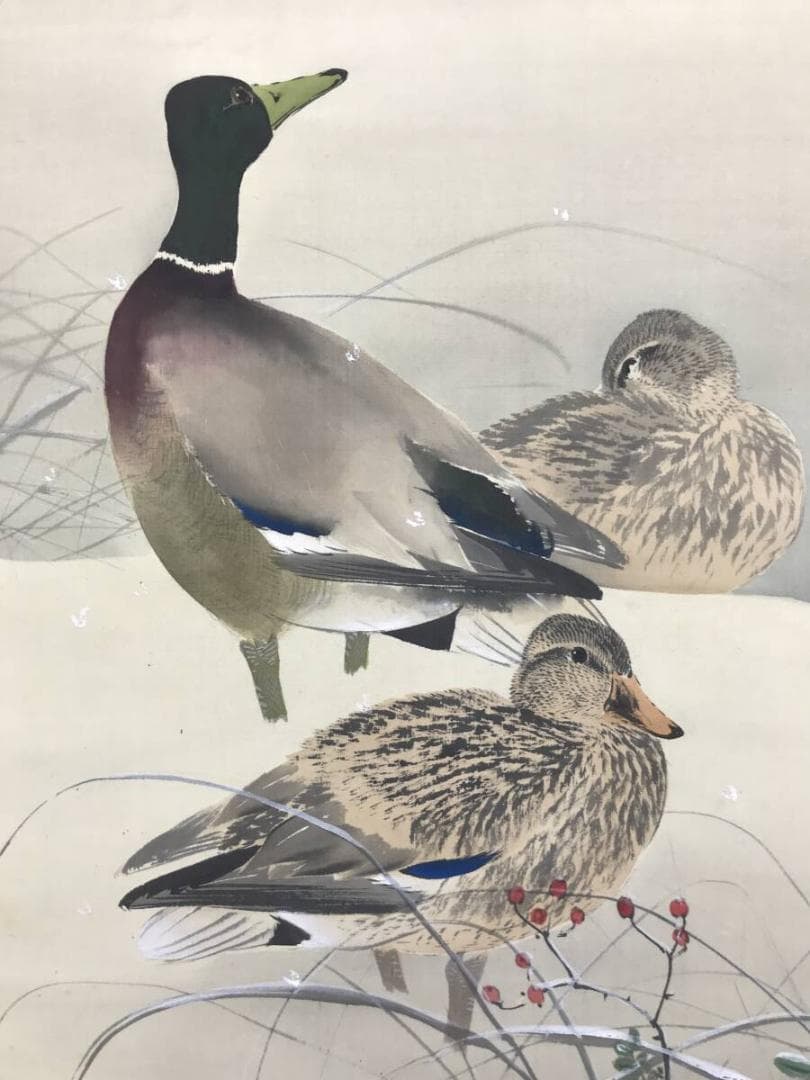 真作/今井景樹/雪中鴨図/加茂図/カモ図/花鳥図/掛軸/名家