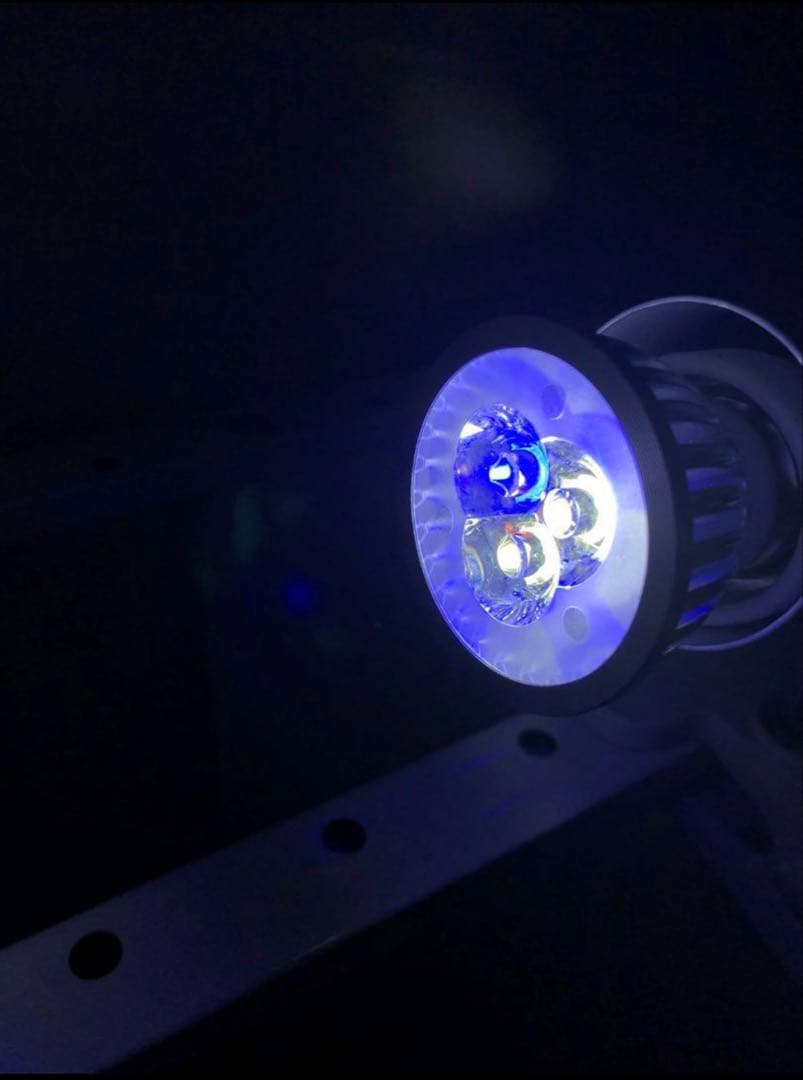 LED 3Wライト　2白1青30個 観賞魚、植物、水槽など多用