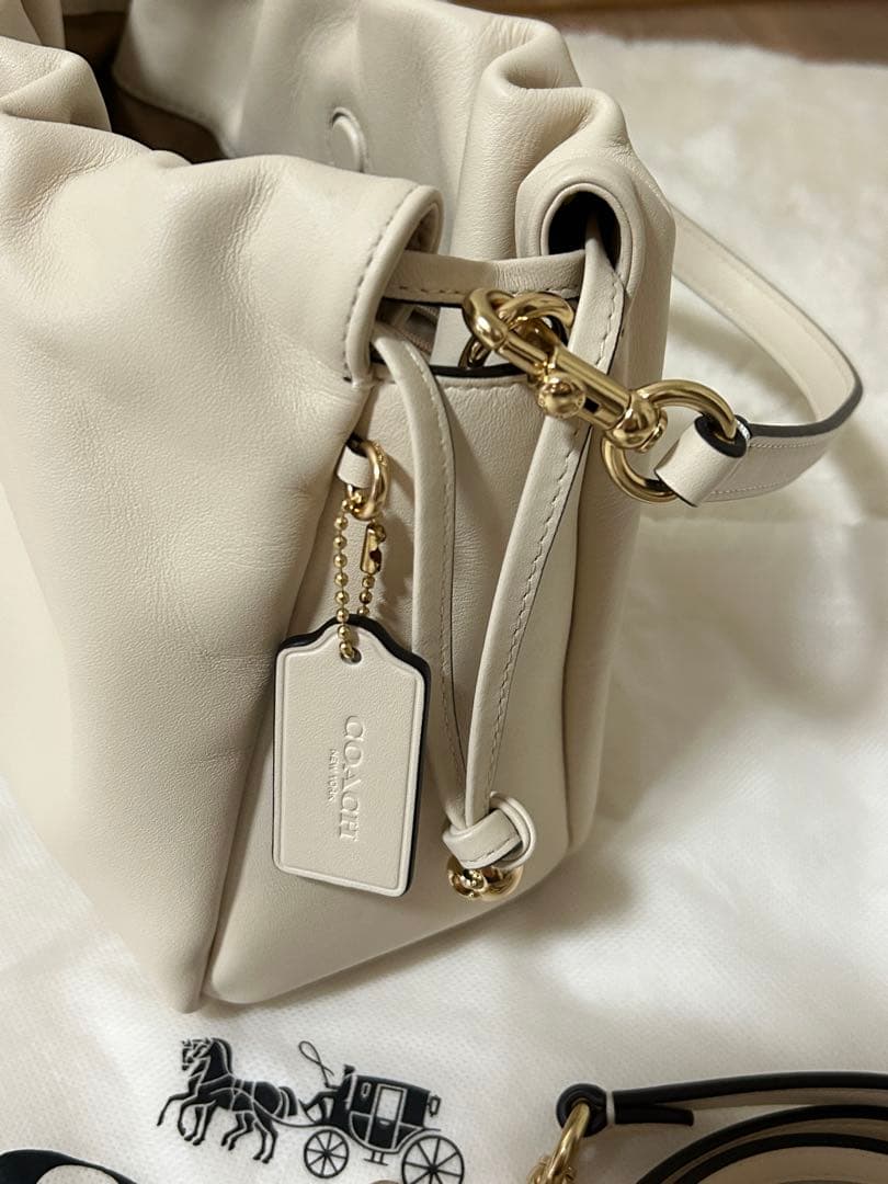 COACH フェイドローストロングバッグ