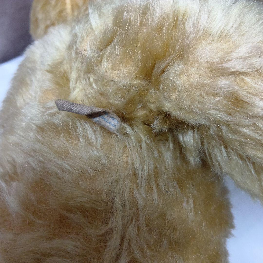 チコちゃん様専用♥イギリスからやって来たクリクリお目目の