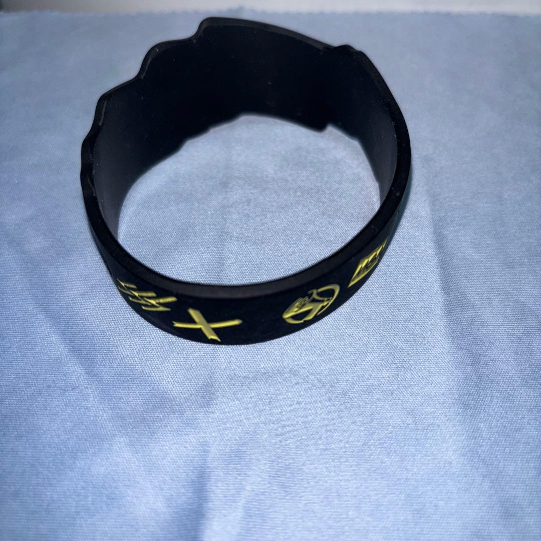 Mrs.GREENAPPLEフェーズ1 ゼンジン未到とプロテストラババン - メルカリ