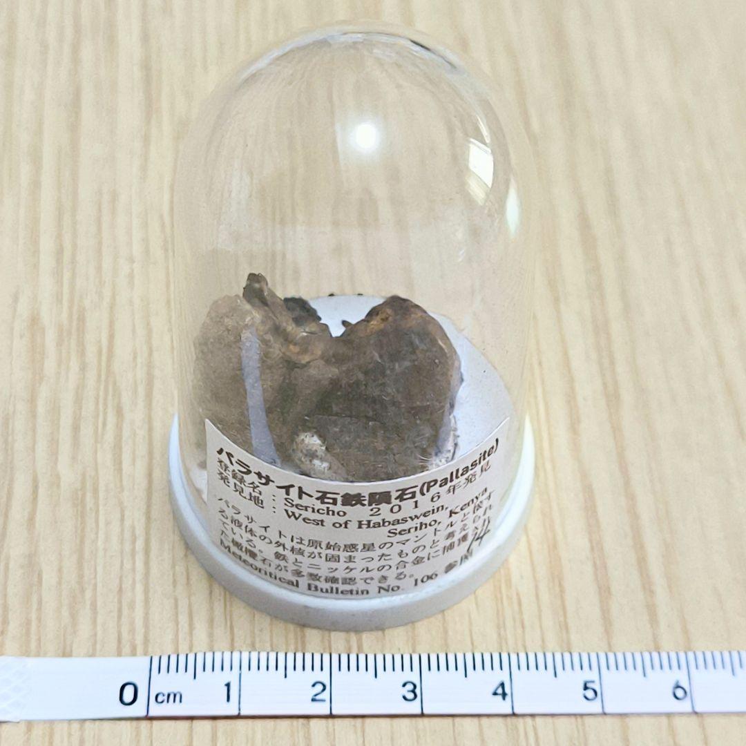 希少】パラサイト石鉄隕石 (Pallasite) 標本 Sericho