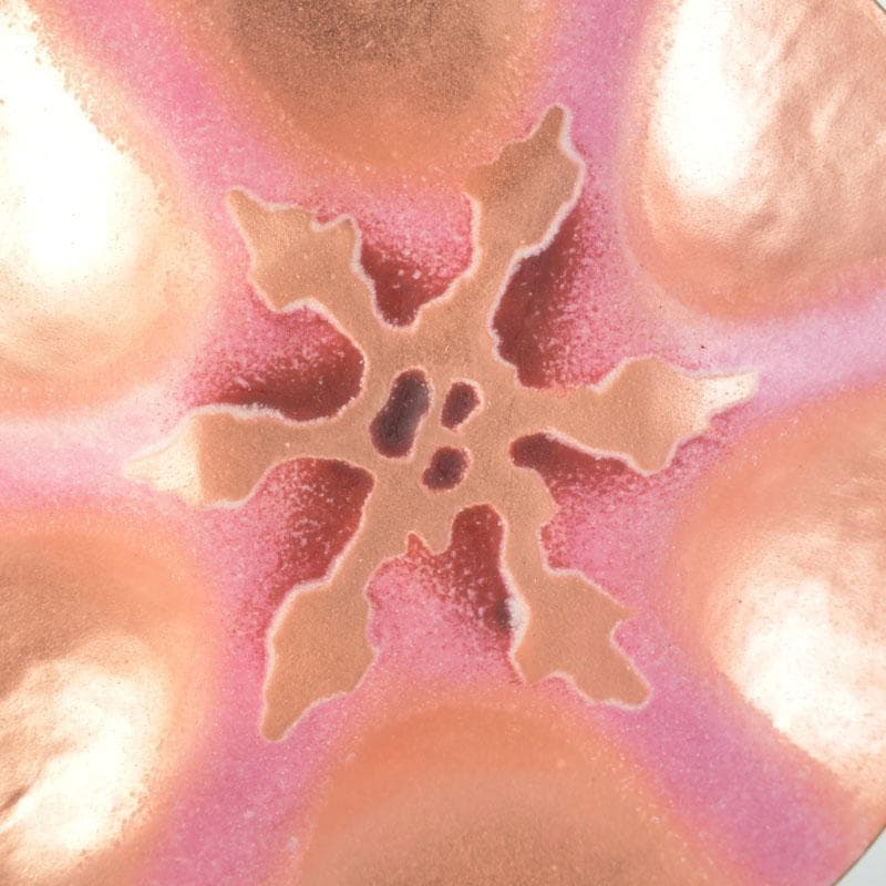 七宝焼　大阪尚美堂造　花形皿　小皿　共箱　V　9806