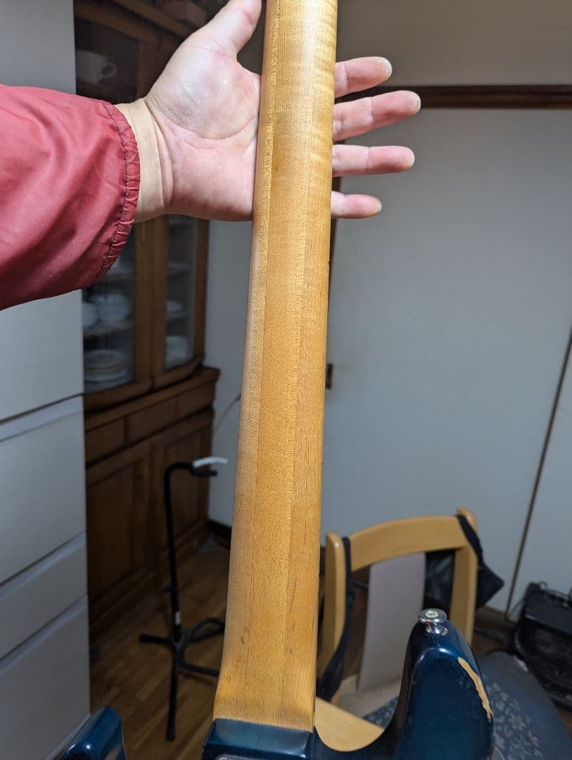 Bacchus5弦パッシブジャズベース ハンドメイドWOODLAND日本製中古品