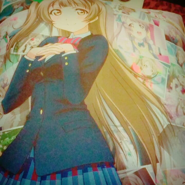 真姫とことりのクッション？？