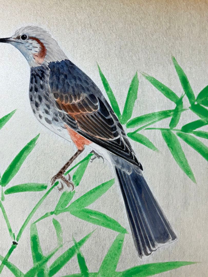 鳥」 野々内保太郎 絵画 日本画 黄色袋 箱あり 鳥」 野々内保太郎 絵画