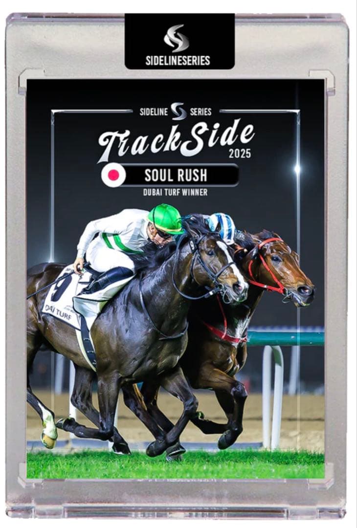 タスティエーラ Dレーン 世界限定 ホースレーシングカード 専用台座付