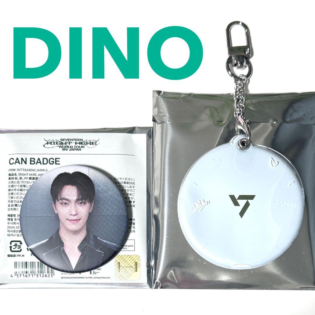 SEVENTEEN セブチ ディノ バラ売り トレカ キーリング