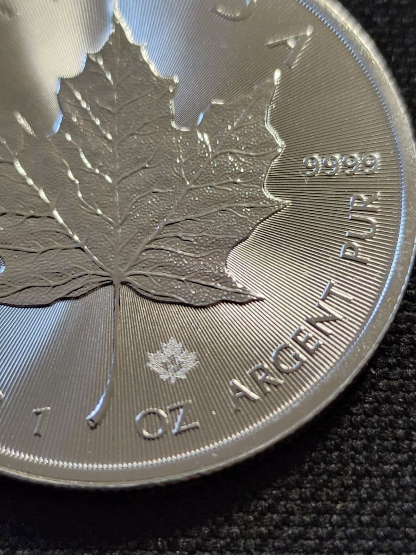 カナダ メイプルリーフ銀貨2021年 1オンス(5枚)クリアケース入り