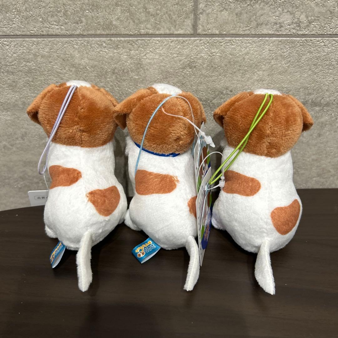 コーイケルホンディエのおでこちゃん おすわり VMCコンプリート 大谷翔平