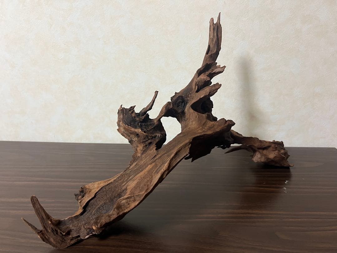 HX-057流木 マシンガンウッド ホーンウッド アクアリウム ブランチウッド