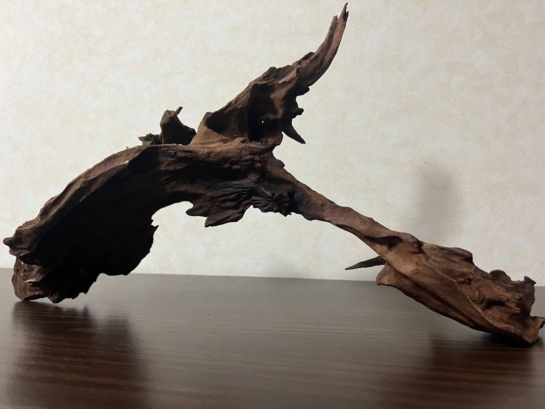 HX-057流木 マシンガンウッド ホーンウッド アクアリウム ブランチウッド