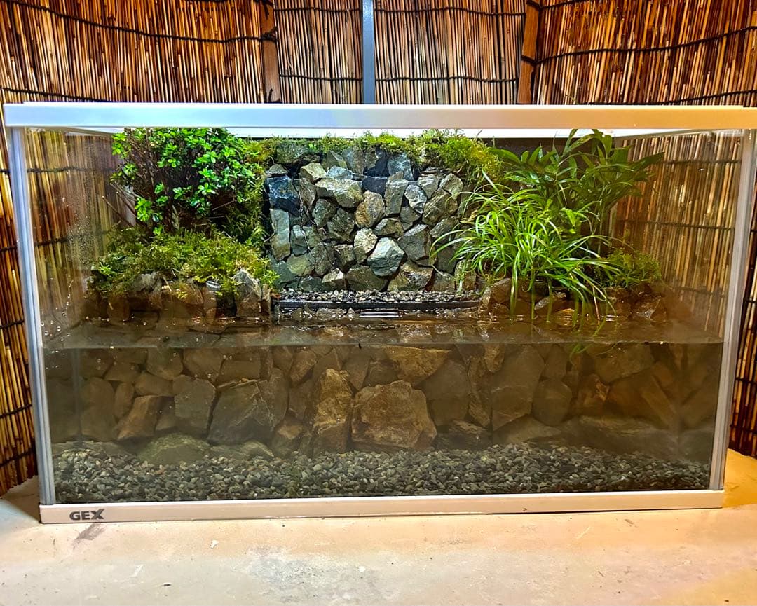 珊瑚礁レイアウト約35×45