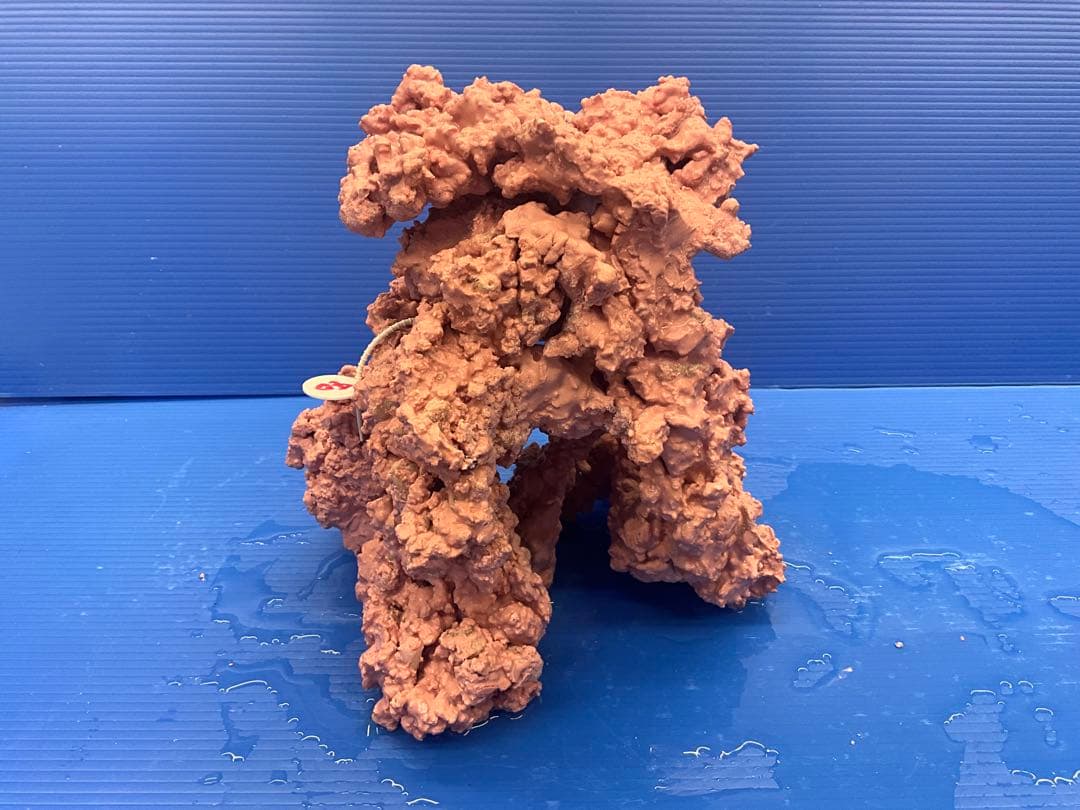 人工ライブロック　No.40. 無害化処理済