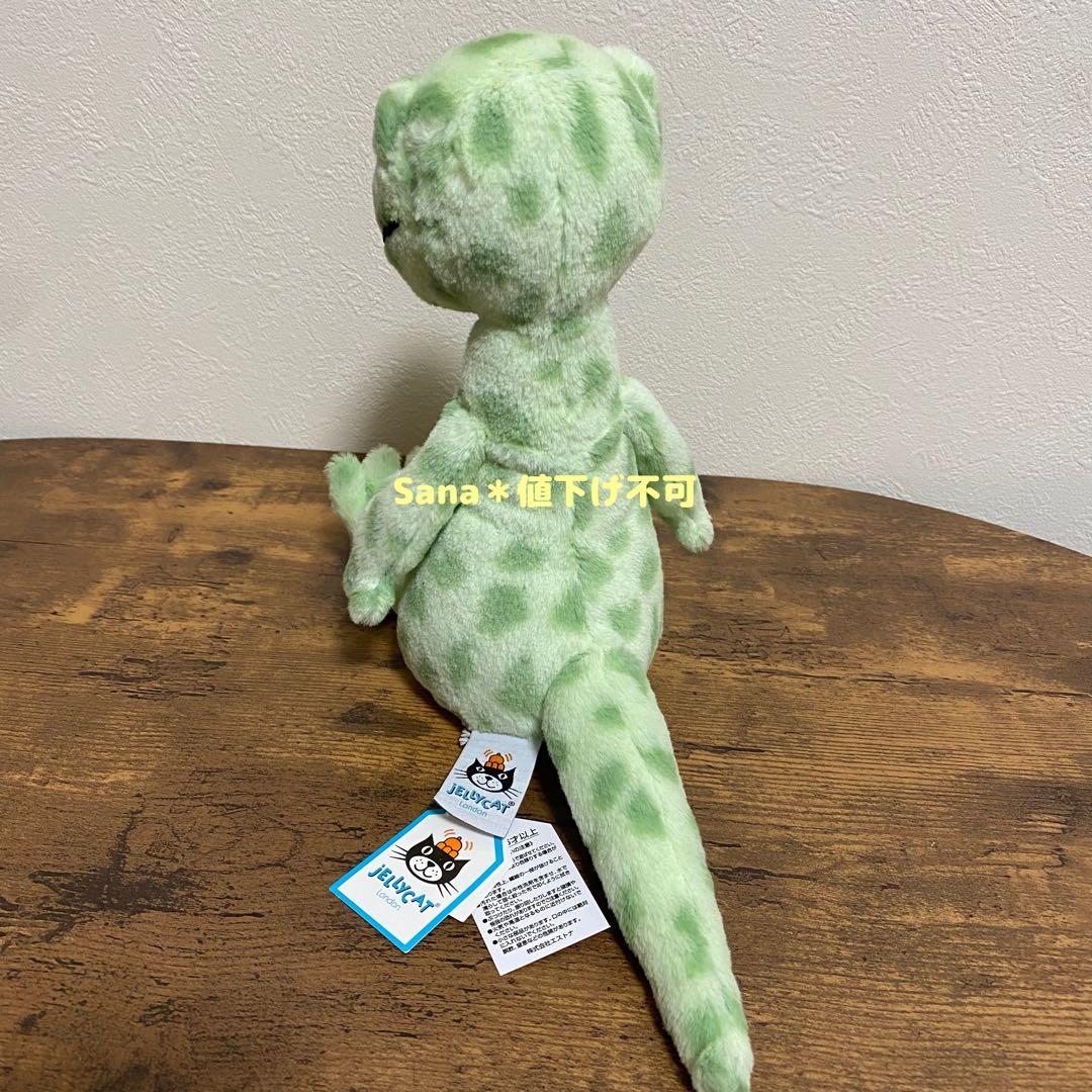 新品　ジェリーキャット　ヤモリ　家守　トカゲ　爬虫類　Gunner Gecko