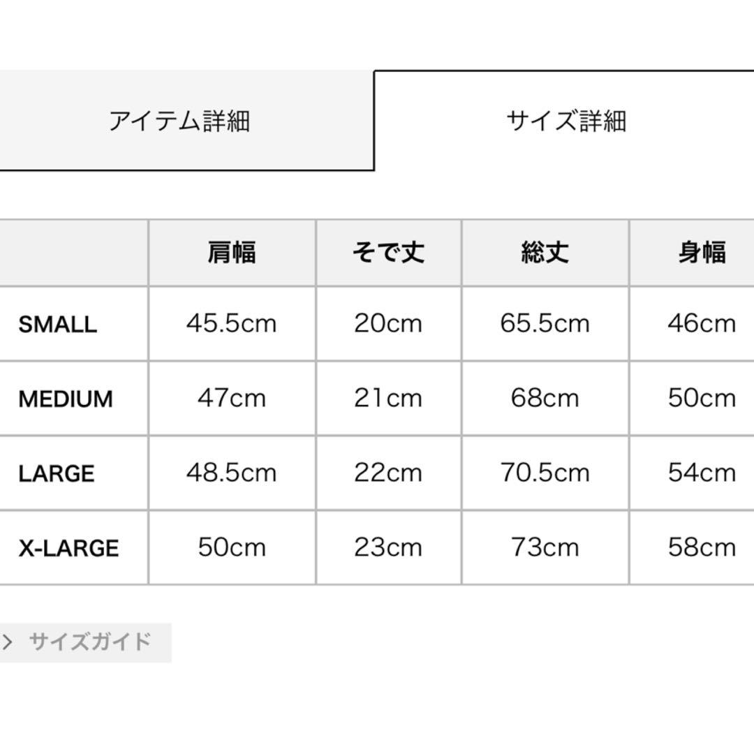 ヒステリックグラマー 2025 春コレ 新品 Tシャツ サイズL