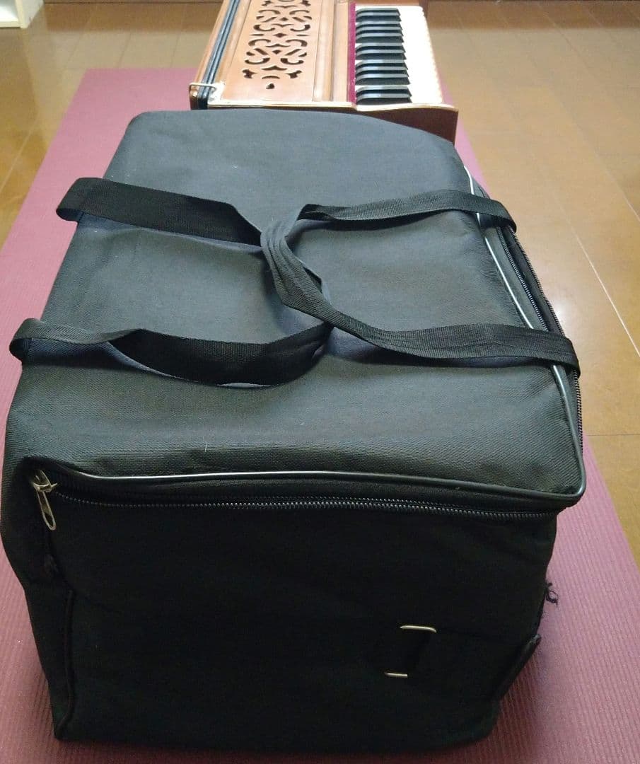 ハルモニウム30鍵盤【RAGA】最終値下げ - メルカリ