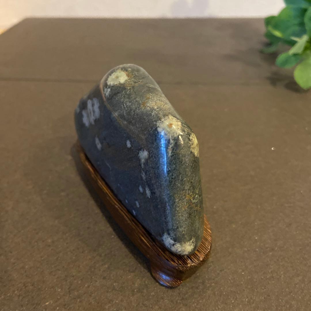 菊花石 ☆ 鑑賞石 水石 盆栽