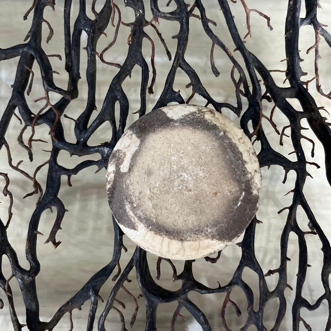 ✴︎ご成約品✴︎リピーター様　イベント割引　おまとめ同梱包　２点