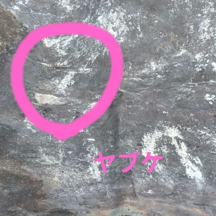 MURACO SATELLITE FIRE BASE 焚火台　ロストルセット