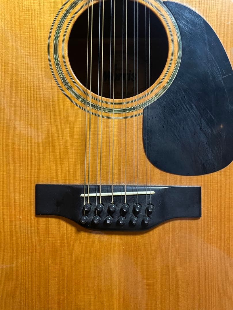 morris 12弦ギター B-40