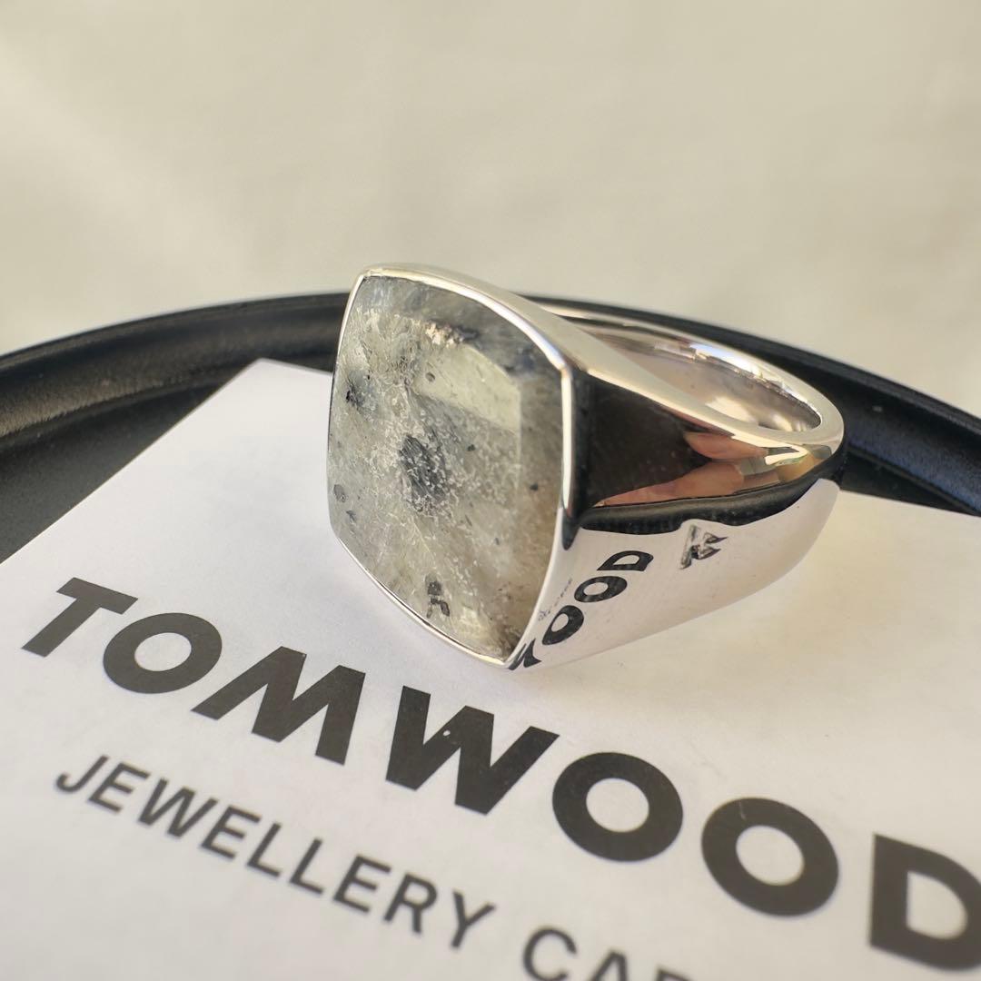 【極美品・定価8.45万円・g58(18)】 Cushion Larvikite