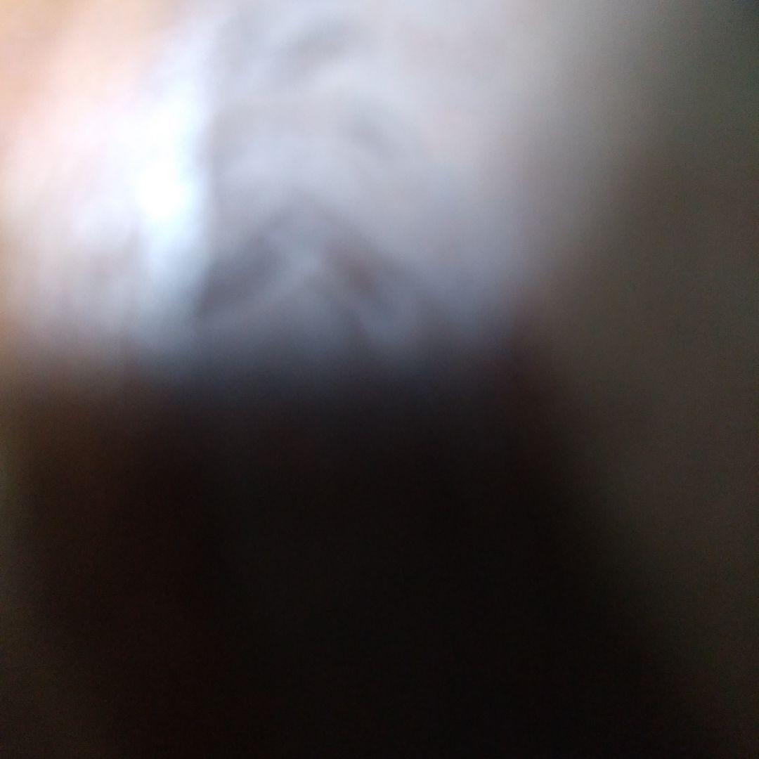 茶道具  十牛図 「尋牛」鐵絵  茶盌 信楽壺中窯  保庭楽入  造