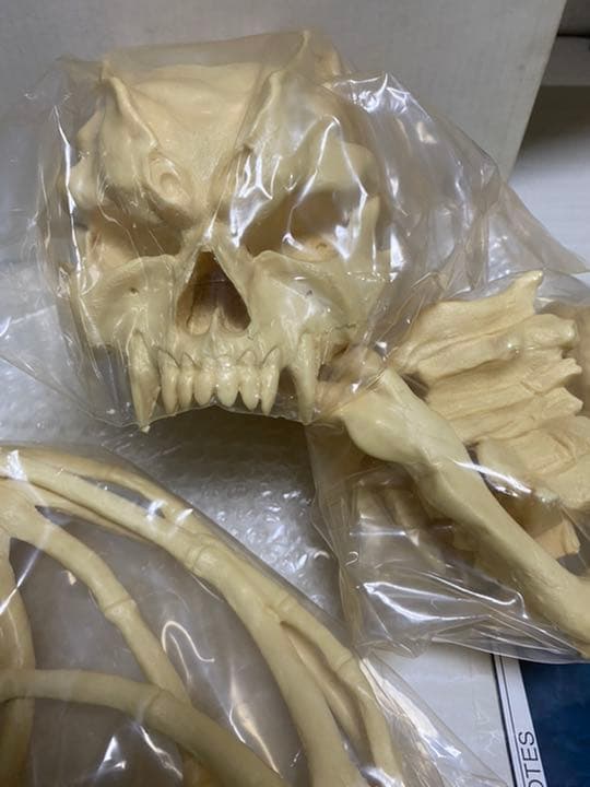 今も人気。 デビルマン フューチャーモデル.スカルヘッド