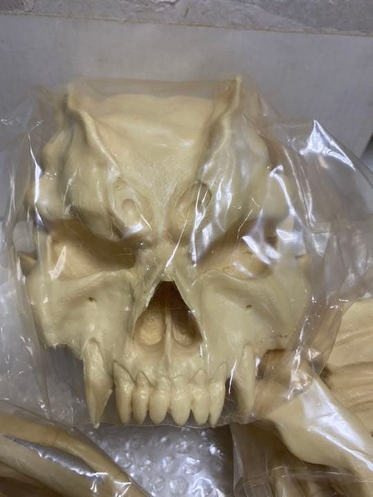 今も人気。 デビルマン フューチャーモデル.スカルヘッド