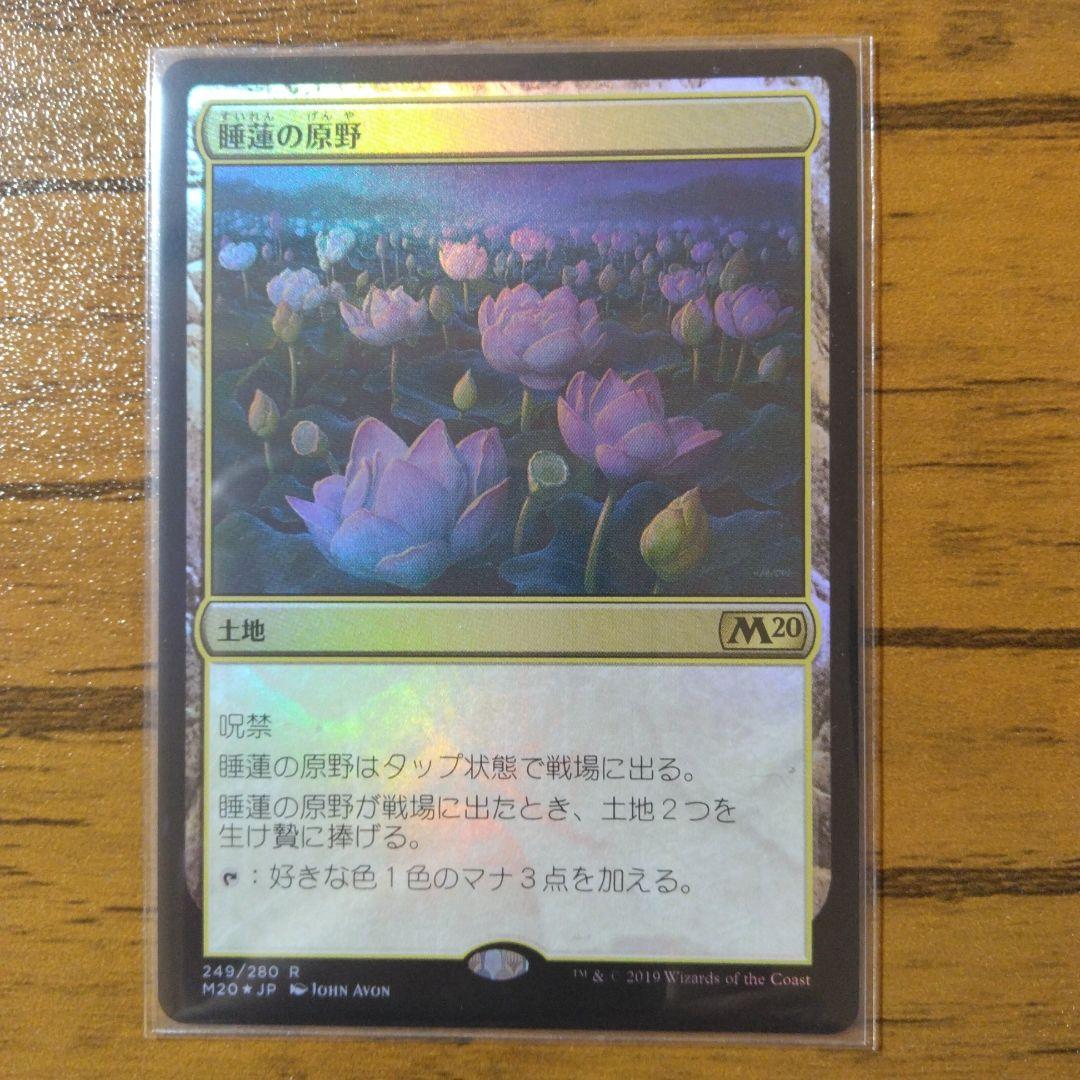 MTG 悪魔の教示者 ぶどう弾 睡蓮の原野 巨像の鎚 マジック：ザ