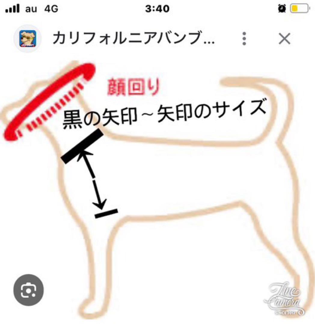 B402.pon2pan2☆オーダー☆犬お引き摺りお着物 - メルカリ