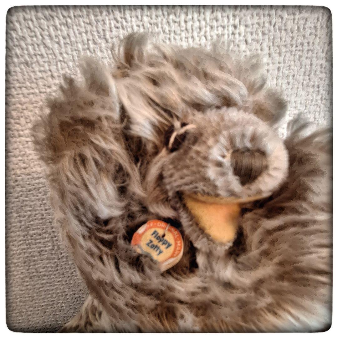 【居眠りテディベア Floppy Zotty 17cm】ヴィンテージ シュタイフ