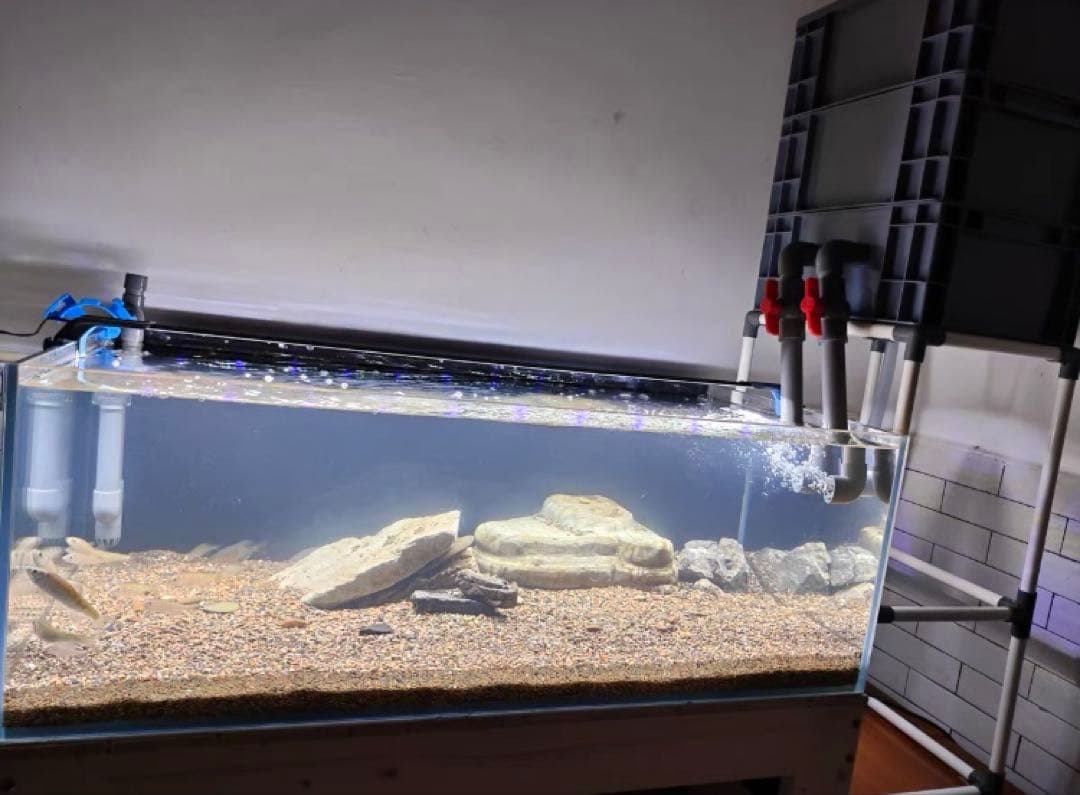 大きめサイズ 45wフルセット水槽池用フィルター、万能濾過器、濾過装置