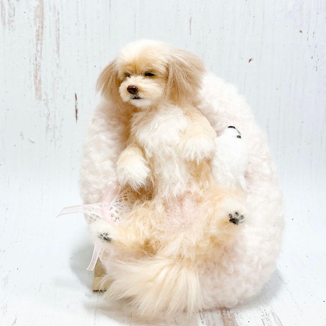 羊毛フェルト 犬 マルプー トイプードル ミックス犬 羊毛フェルト 犬 マルプー トイプードル ミックス犬 羊毛フェルト犬