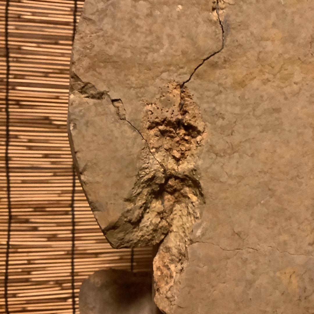 朝鮮・三国時代「静寂と慈悲の水月観音菩薩半跏像」高句麗・新羅・百済・