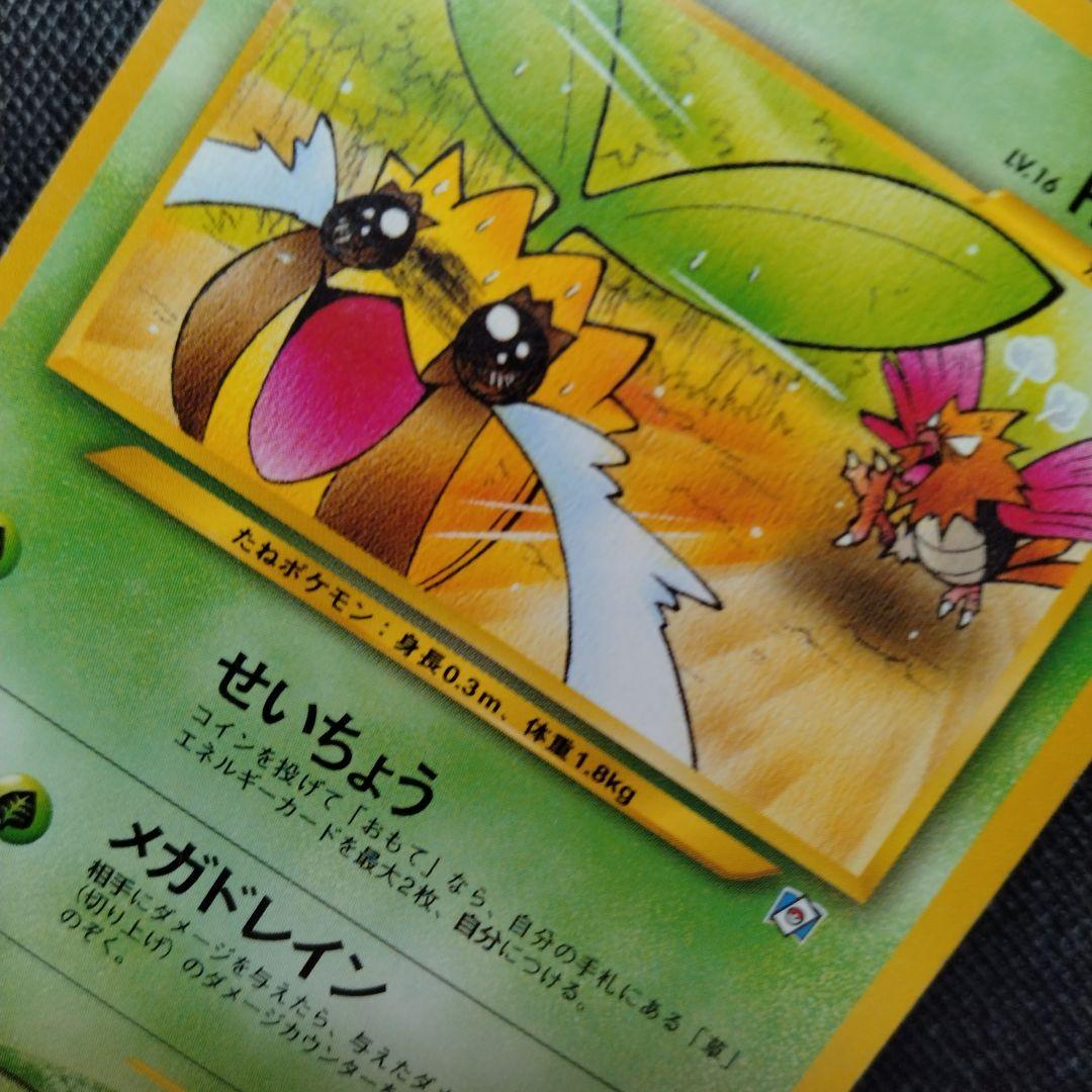 ポケモンカードになったワケ プロモ コンプリート