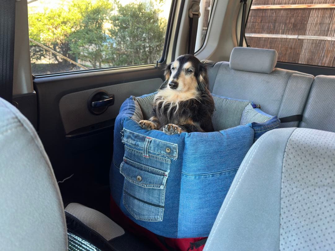 ドライブベッド 高さ約30cm