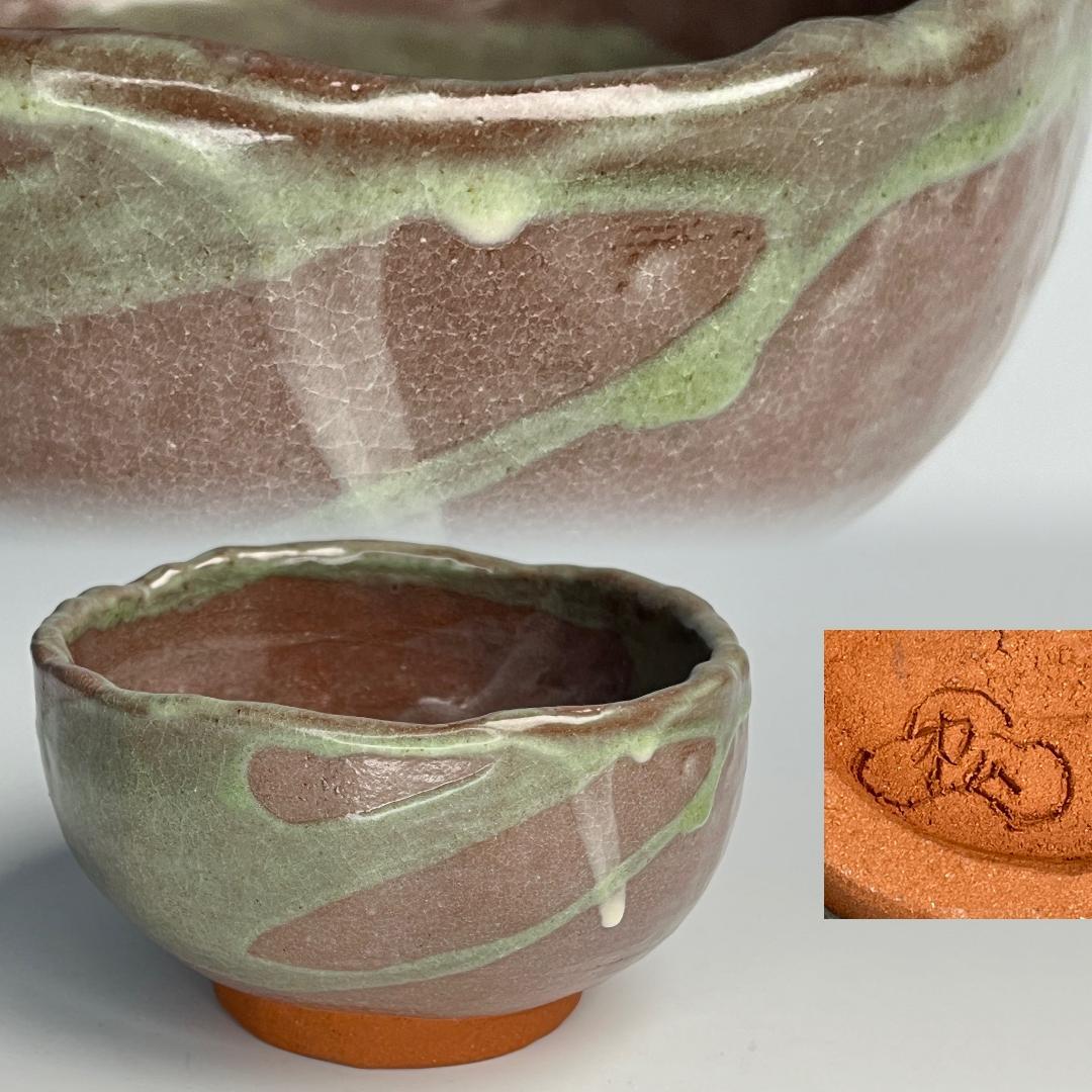 宮沢賢治バタグルミ化石土付き水中保管