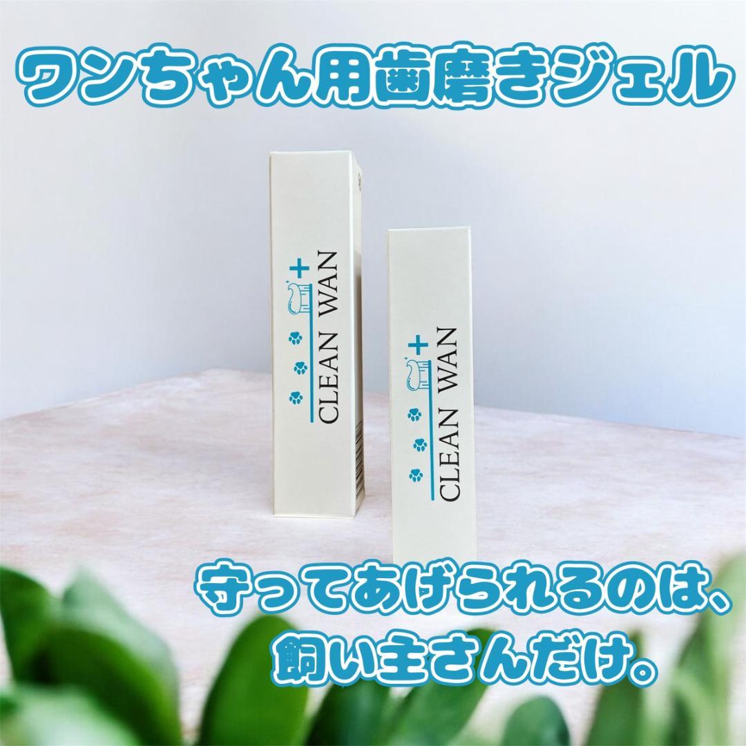 2本セット】CLEAN WAN クリーンワン 犬 歯磨き ジェル15g - メルカリ