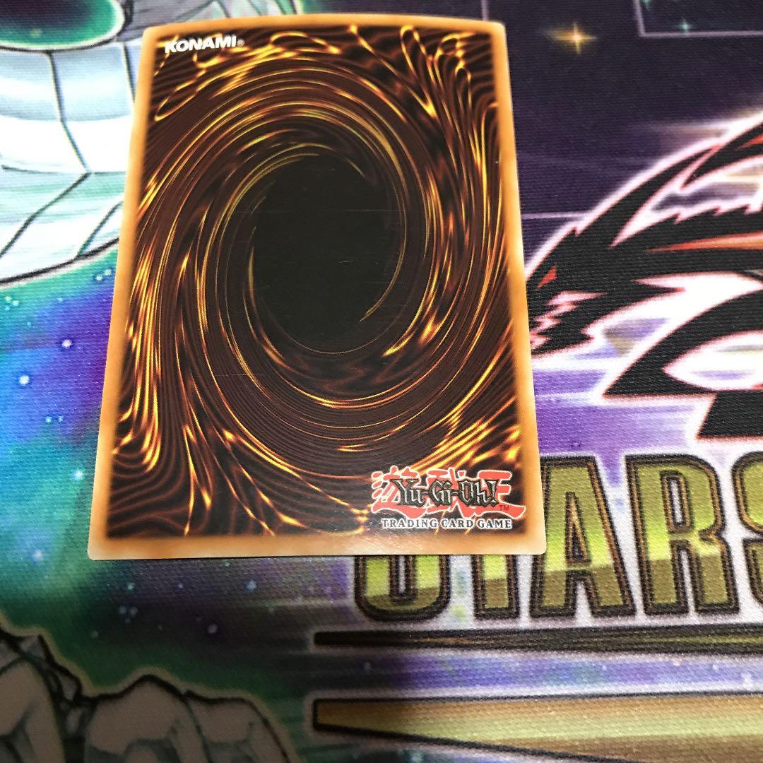 遊戯王 ブラック・ローズ・ドラゴン フランス語 シークレット