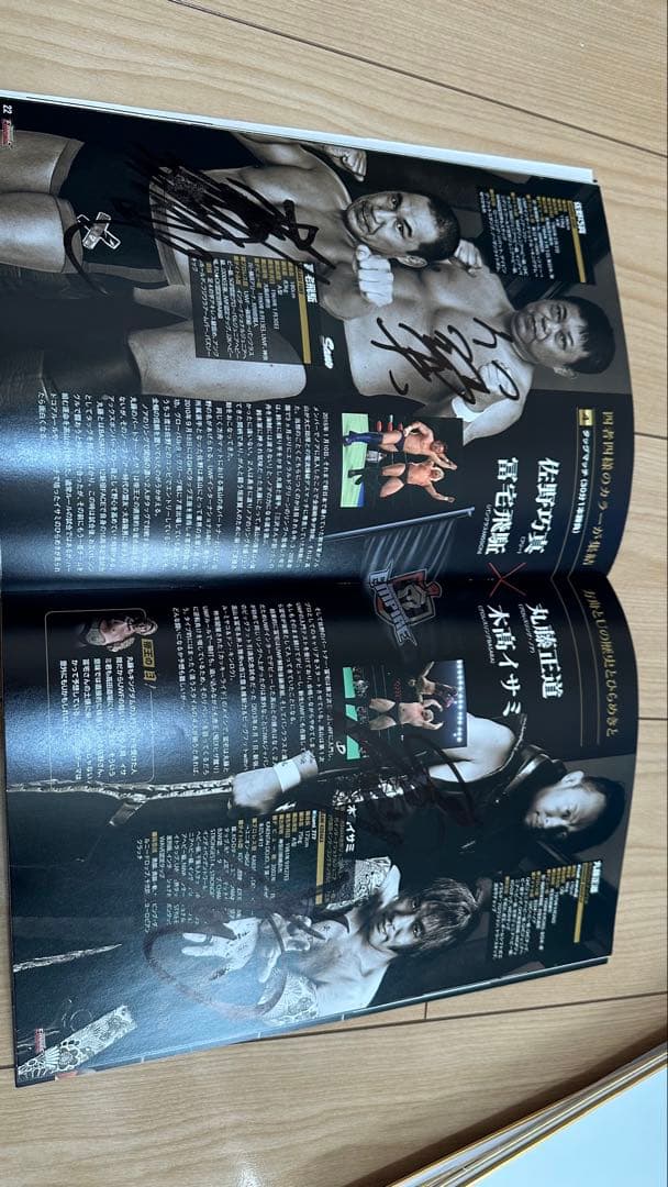 高山善廣　プロレスリング・エンパイア 2018年5月号