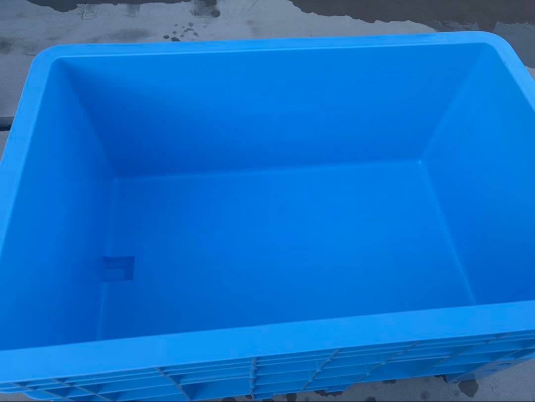 大型プラスチック水槽 ライトブルー スーパー500 鯉 メダカ